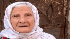 أمانة يا حجة فاطمة تسلمي على موسى الحنفي ،،،،،،كتب خالد جمعة