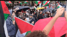 وقفة ومسيرة حاشدة في العاصمة الرومانية بوخارست تضامنا ومؤازرة مع شعبنا وأهلنا في قطاع غزة